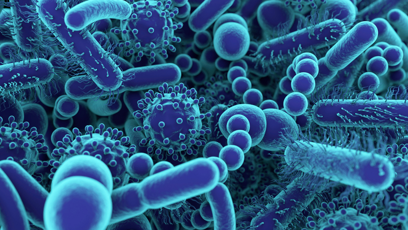 Ep. 106: Microbiome: Health is All About the Bugs Within You