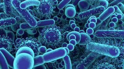Ep. 127: Microbiome: Health is All About the Bugs Within You
