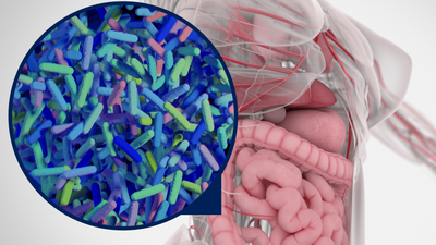Ep. 244: Autoimmunity and Microbiome